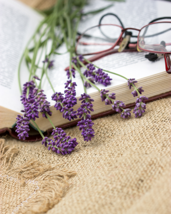 Aufgeschlagenes Buch mit Lavendel und Brille