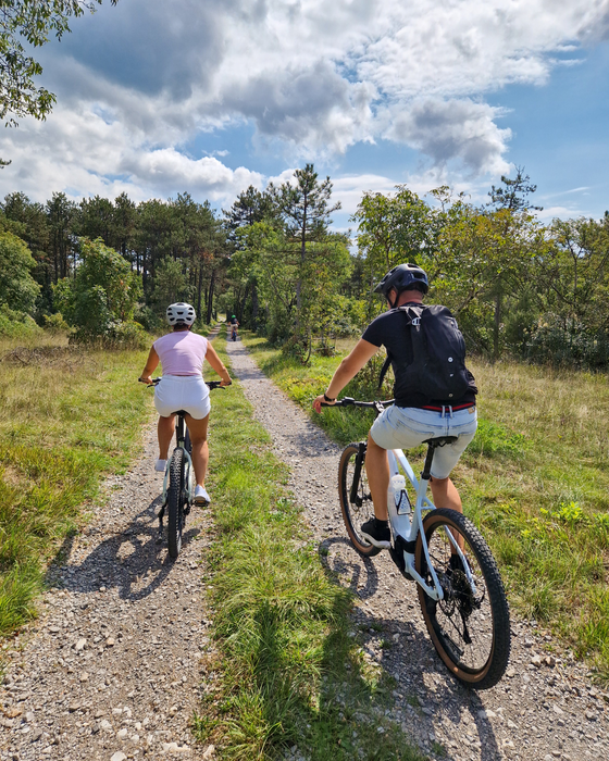 Zwei Radfahrer auf Weg in Wald 