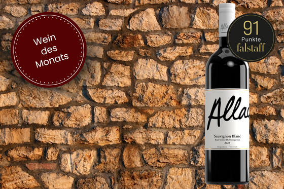 Wein des Monats Juni Sauvignon Blanc Ried Hofweingarten2023 - Allacher