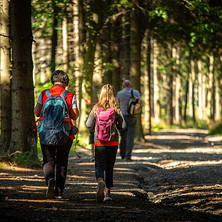 Wandern Geschriebenstein (c) Burgenland Tourismus Andreas Hafenscher