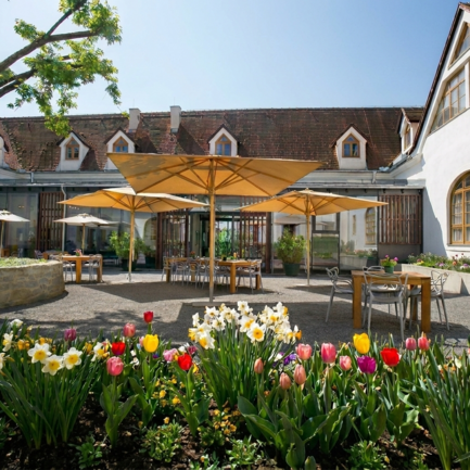 Innenhof Burghotel Schlaining Frühling