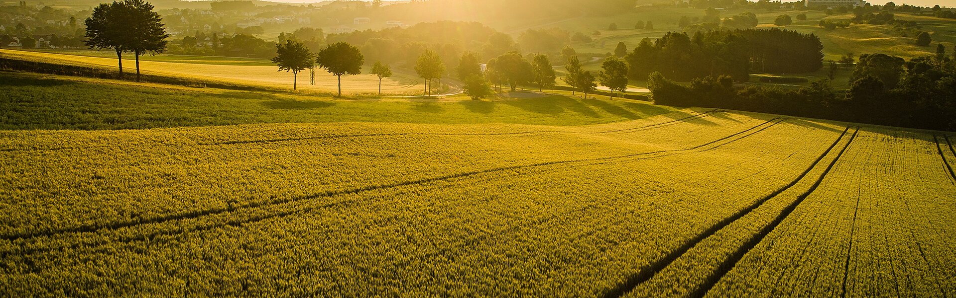 Sonnenuntergang auf einem Feld (c) Bad Tatzmannsdorf Tourismus - K. Schrotter Photograph.