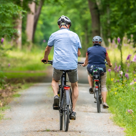 Radfahrern von hinten im Wald