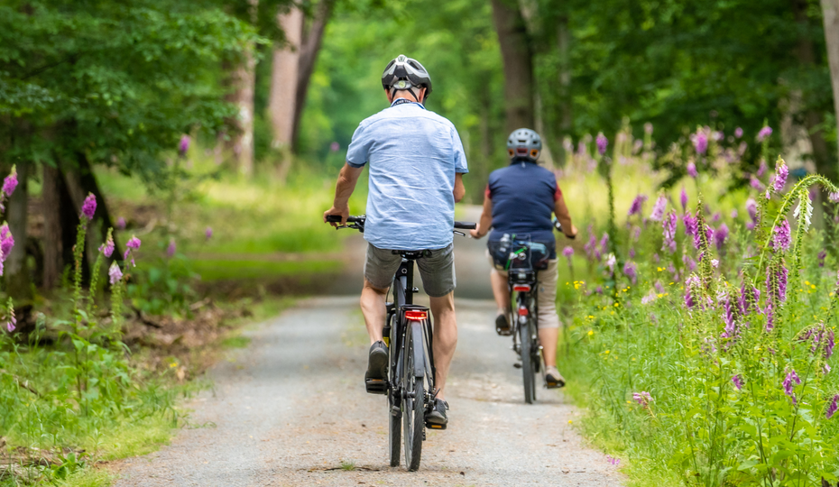 Radfahrern von hinten im Wald