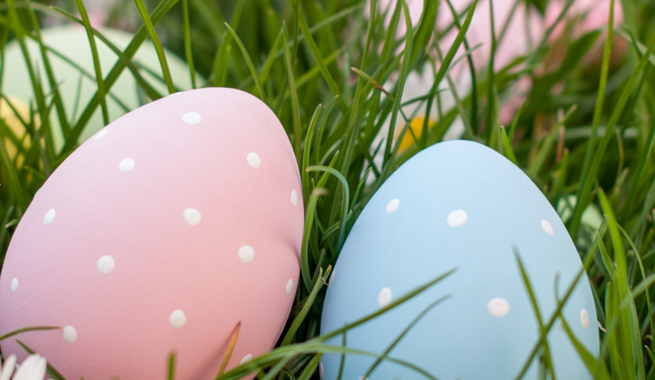 Bunte Ostereier in einer grünen Wiese mit Gänseblümchen.